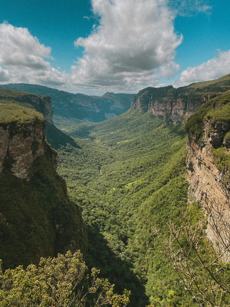 Panorama sur la vallée et les canyons de la Chapada Diamantina